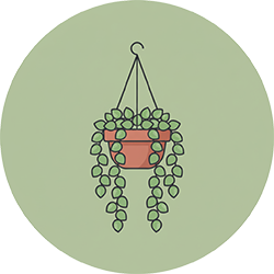 آویزها و گلدان‌های آویز