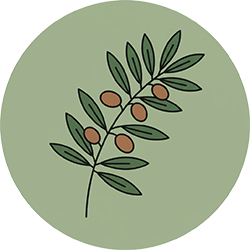 درخت زیتون مصنوعی