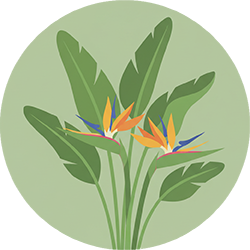 پرنده بهشتی مصنوعی