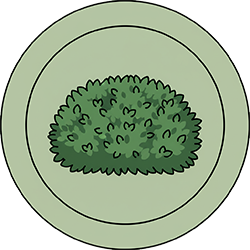 بوته شمشادی