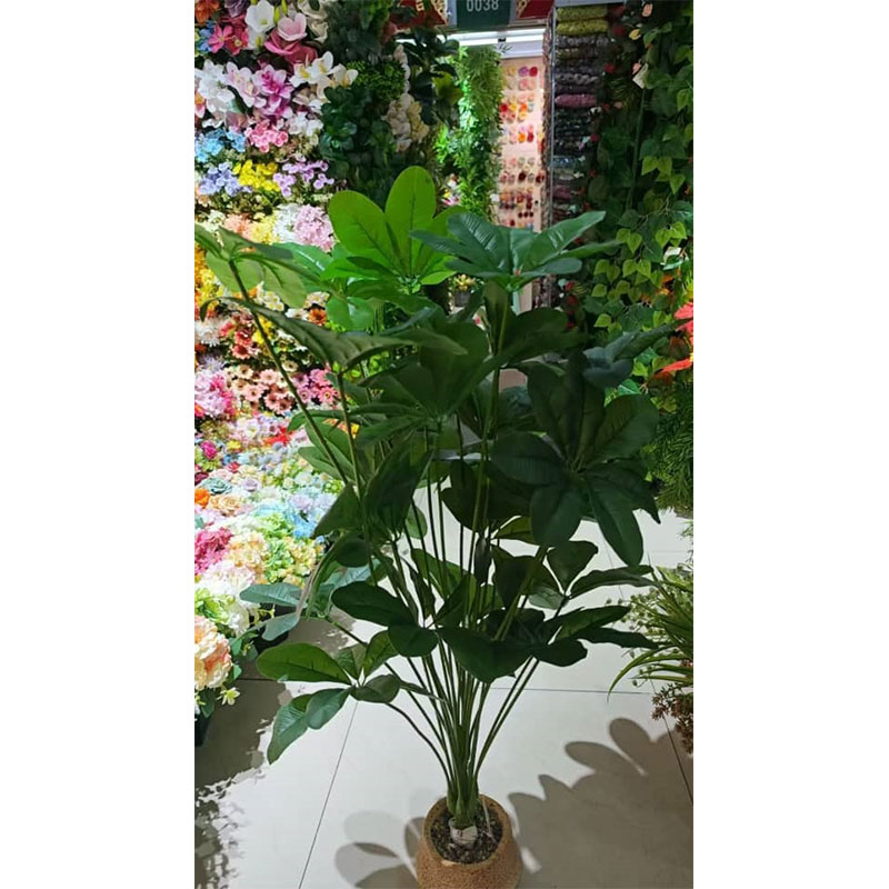 درختچه شفلرا مصنوعی