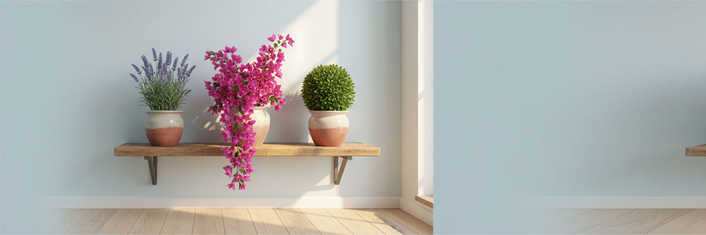 اسلایدر 2 -  گل‌ها و بوته‌ها